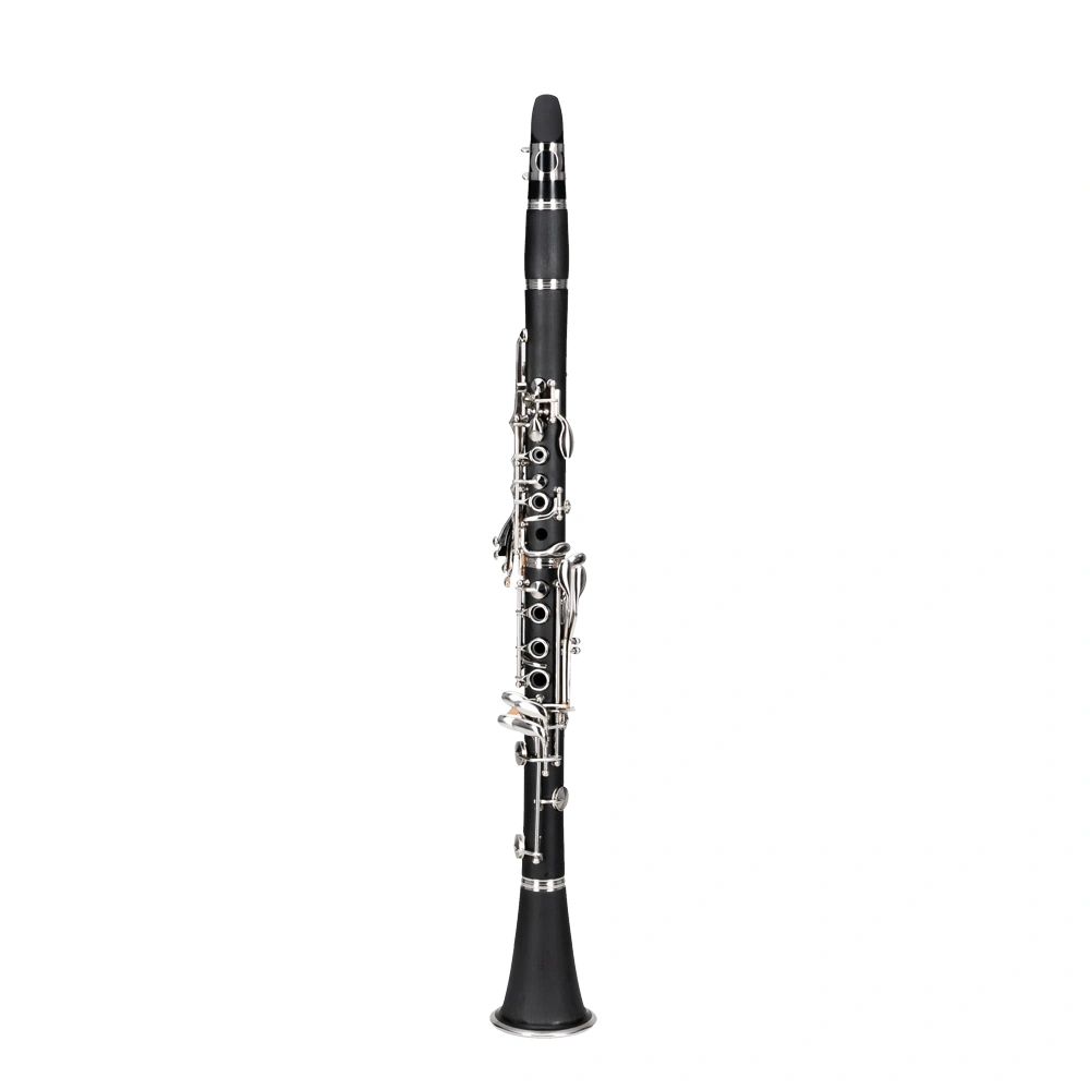 17 Key Flat Bb Black Clarinet w/ 2 Mouthpieces & Connector - Beginner Student Instrument